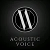 acoustic.voice