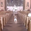 st4r.._zz