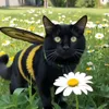 lorbeerchen7474