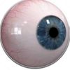 beholder204