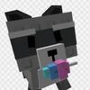 theraccoon7