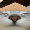 vikiskmok_67