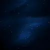usr3290460954