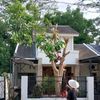 Mr Property | Cari Rumah Jogja