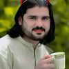 znoor6022gmail.com