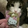 kamorahellokitty0305