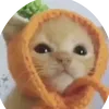jakedeluna288