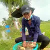 momthu70tn1