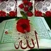 user6912067195554