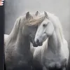 eyhhhww69