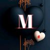 mazharjamal11