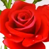user1092155474309
