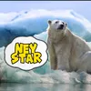 Neystar