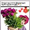 user5817671246584