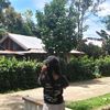 aurellintin7