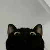 _ceiizzz