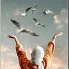 doniahossam8451