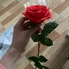 hoangieo2rl