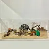 pet_villa_house