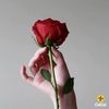 trthi_avan