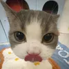 nganembangdienthoai