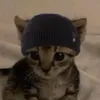 oms.mp4