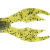 fishcooty12_