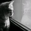 aya_ma7moud__