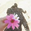 nouradiinyouussef3