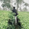 pajarikhsan_21