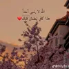 aliammar3379