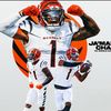 jakaririggins76