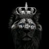 .king_sa