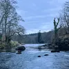 dryflyguy15