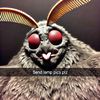 anonymous_shxtpost
