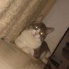 los_michismanda
