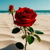 hiam.shokor