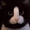 rangga...0