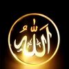 user219301457084572