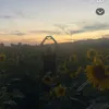 koralikikoralik1