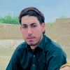 hazratumar6598