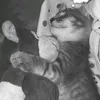 abixx_18