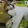 mbak_tianah