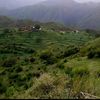 aqeel.malik263