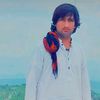 saleem.margay123
