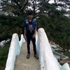 user33639198651063