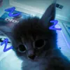 .teamkonielili