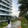 hoanganhthu3101