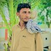 adbulraheem4900