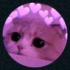 mooooooon19nz